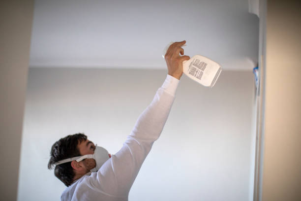 Best Black Mold Removal  in Wilson, WY