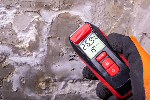 Best Mold Damage Repair  in Wilson, WY