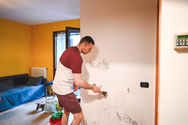  Wilson, WY Mold Removal Pros