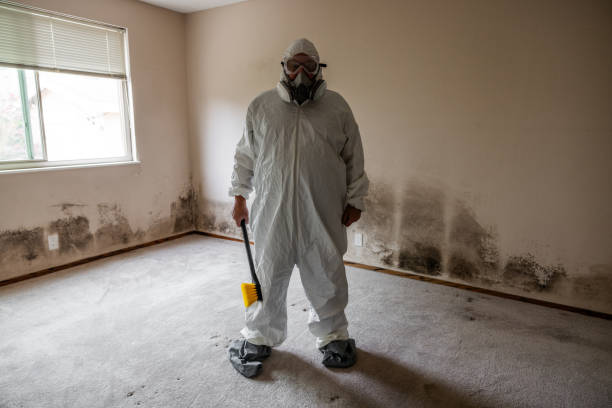 Best Mold Testing  in Wilson, WY